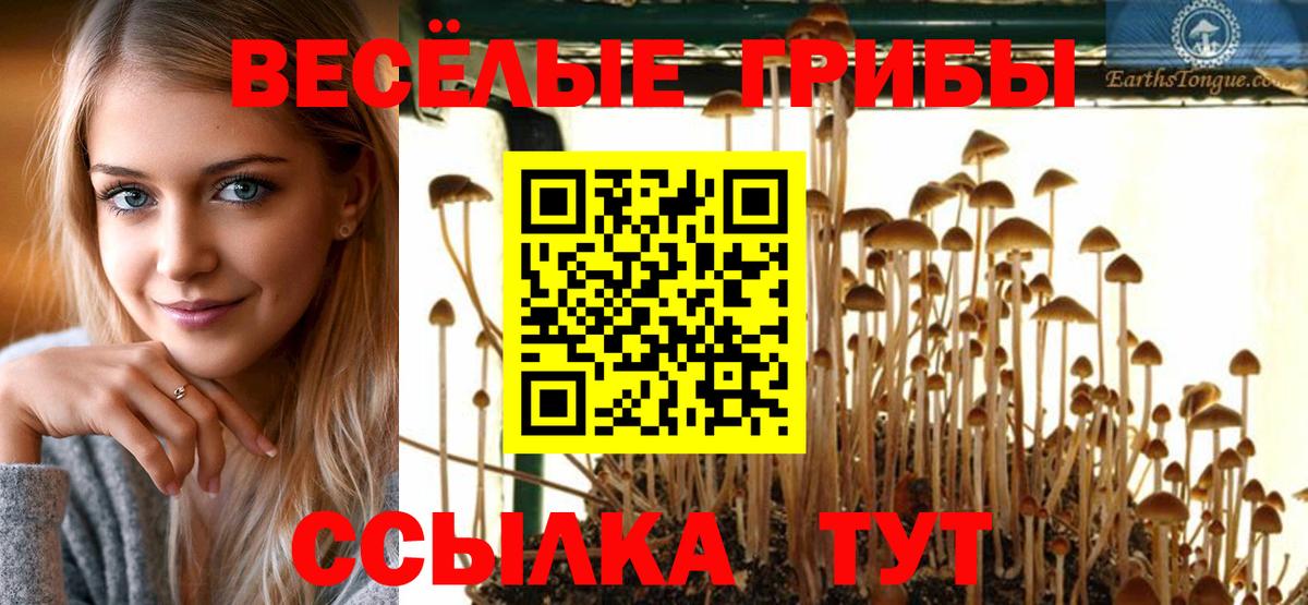 Орёл  Псилоцибиновые грибы мицелий  Вход с VPN 